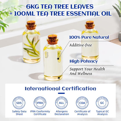 HIQILI Tea Tree Oil for Skin & Hair – 3.38 Fl Oz | Shampoos, Body Wash & Foot Soak