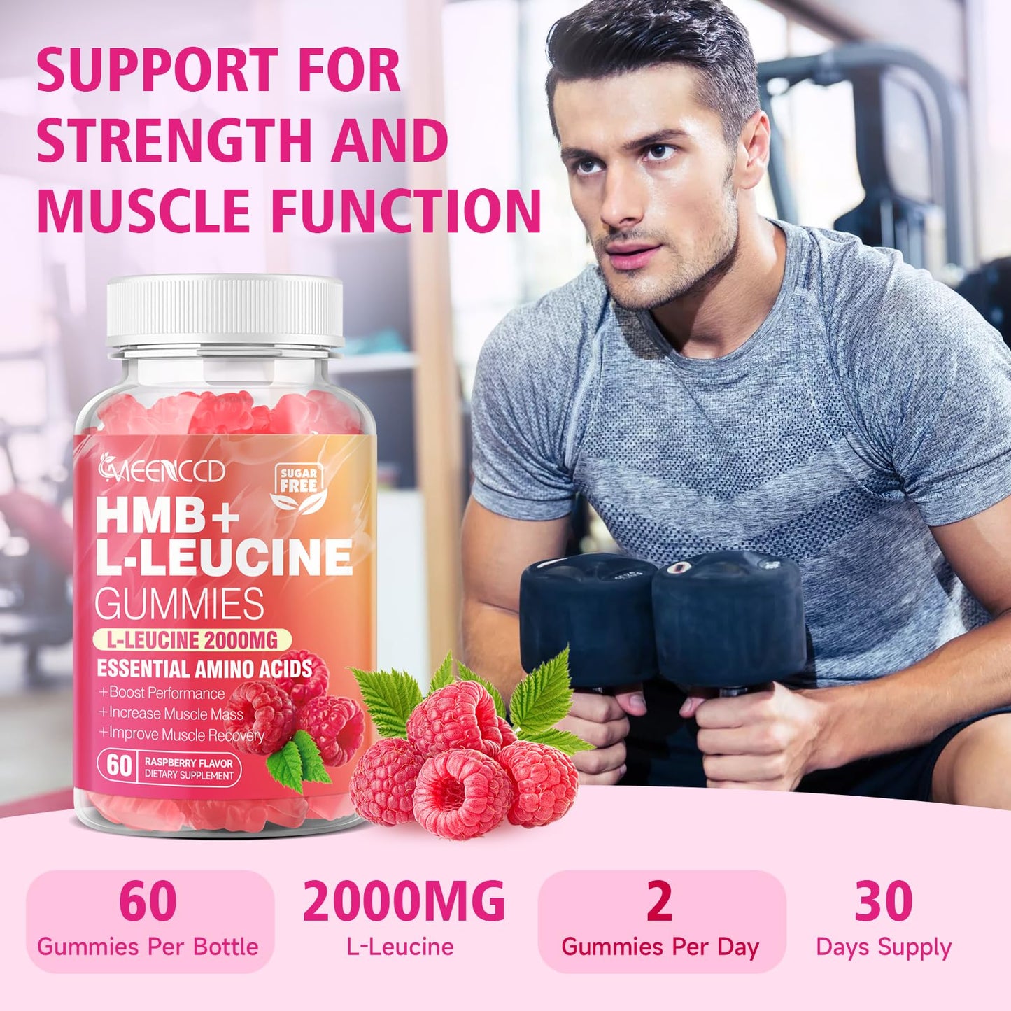 2 Pack HMB + L-Leucine Gummies – 3000mg for Muscle Growth & Recovery, Sugar-Free Raspberry, 120 Count