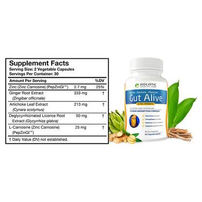 Holistic Health Labs Gut Alive – Zinc-Carnosine Digestive Support (60 Count, Pack of 2)