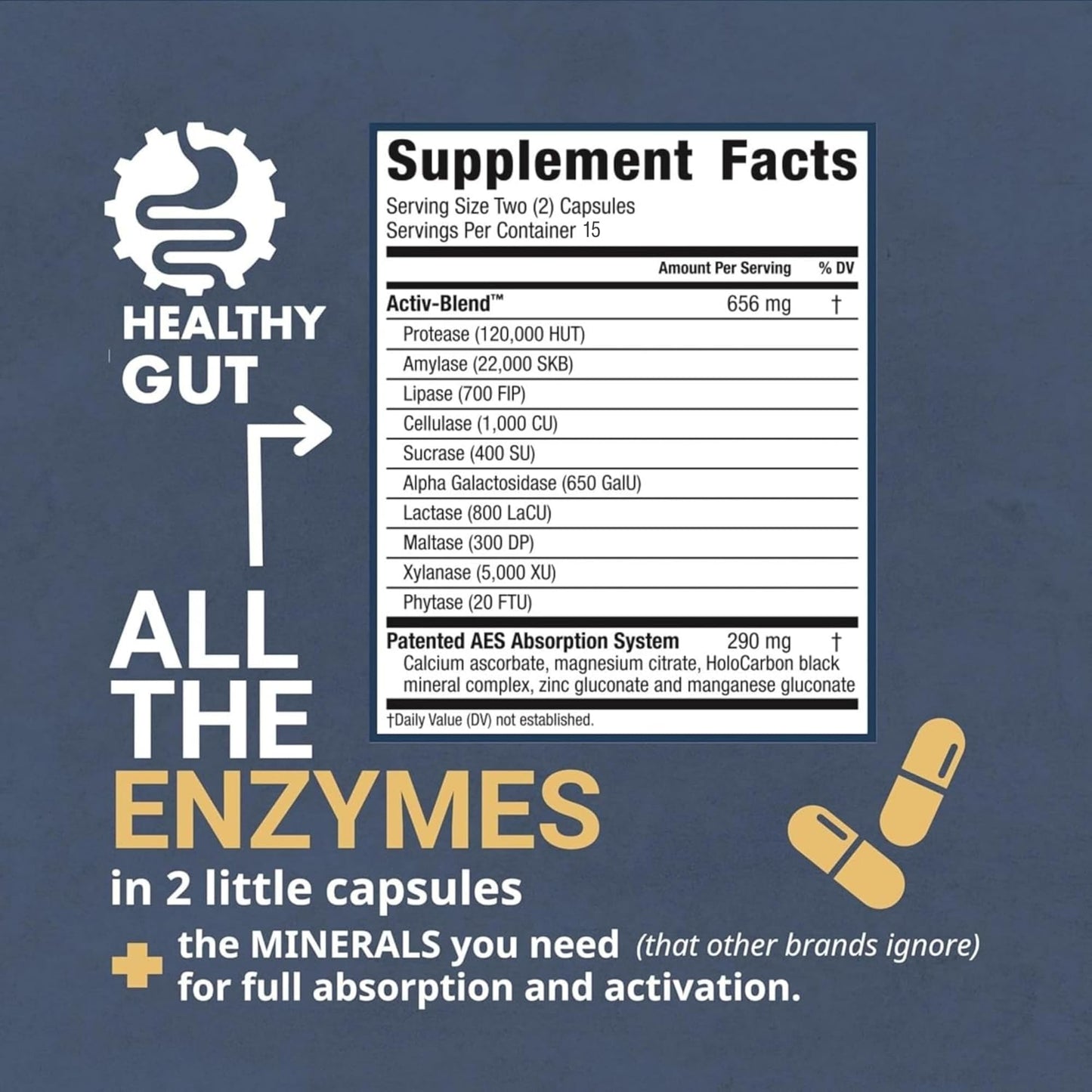 Healthy Gut HoloZyme Max Strength Digestive Enzymes – 15 Servings