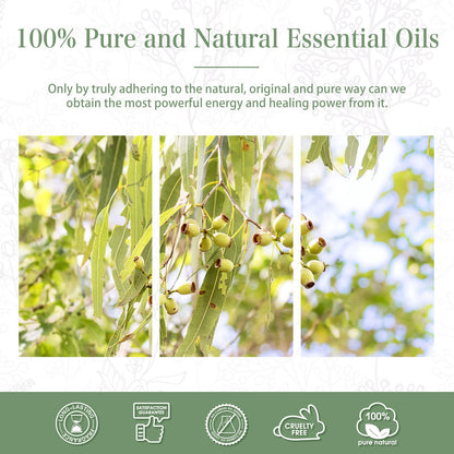 Lemon Eucalyptus Essential Oil 30ml | PHATOIL Aromatherapy for Diffusers