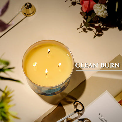 HomeLights 18oz Soy Candle – High Summer Night, 4-Wick Industrial Chic Jar