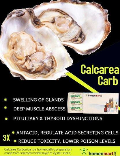 Homeomart.com Calcarea Carbonica Homeopathy Pellets 1M Potency – Pack of 3