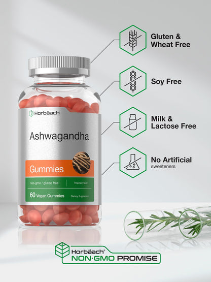 Horbäach Ashwagandha Gummies for Women and Men | 60 Count | Vegan, Non-GMO, Gluten Free | Tropical Flavor (Pack of 2)