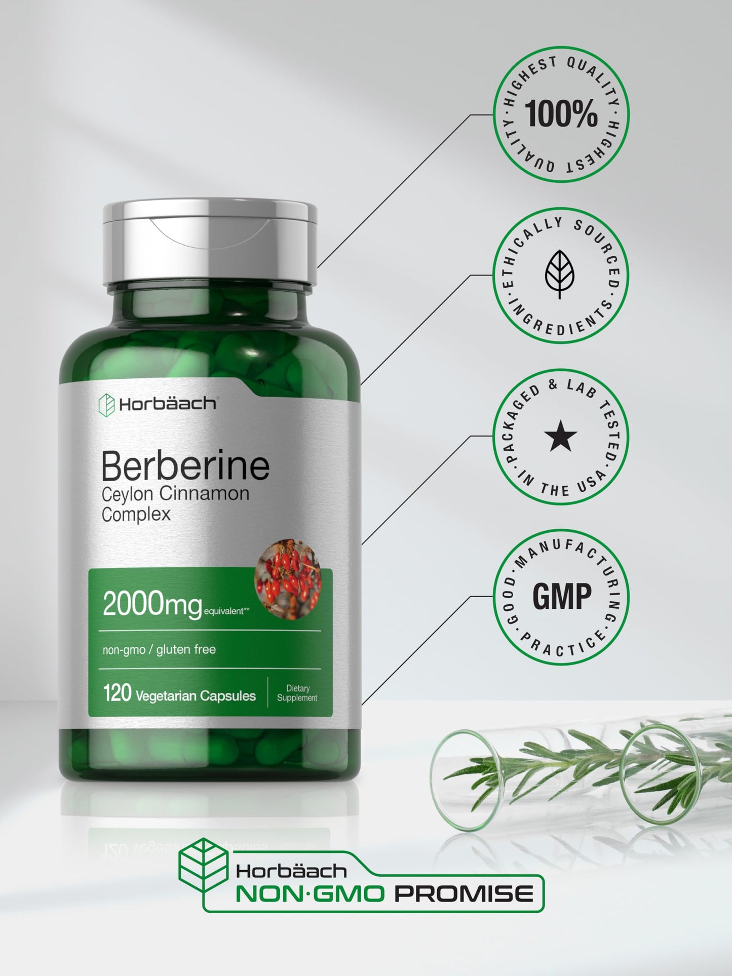 Horbäach Berberine with Ceylon Cinnamon – 2000mg, 120 Veggie Capsules (Pack of 2) | Vegetarian, Non-GMO & Gluten Free