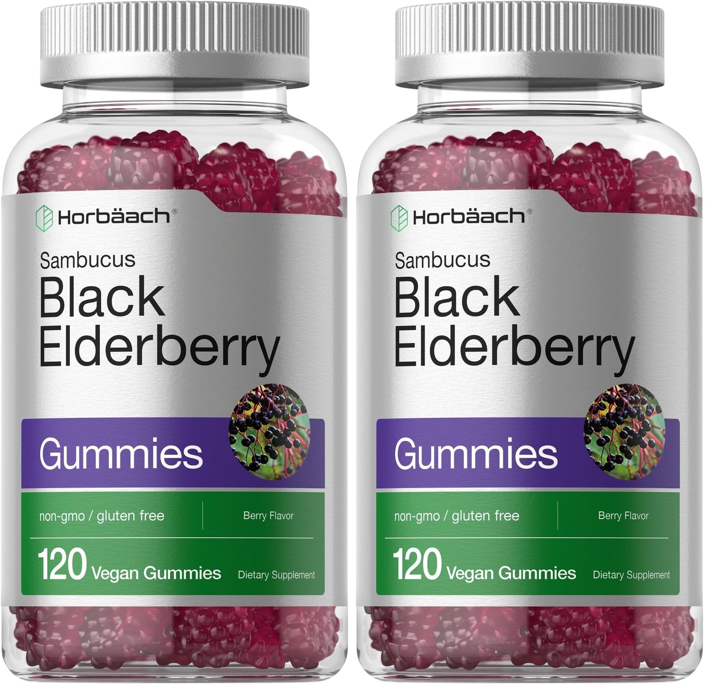 Horbaach Black Elderberry Gummies - 120 Count (Pack of 2) | Zinc & Vitamin C | Vegan, Non-GMO, Gluten Free