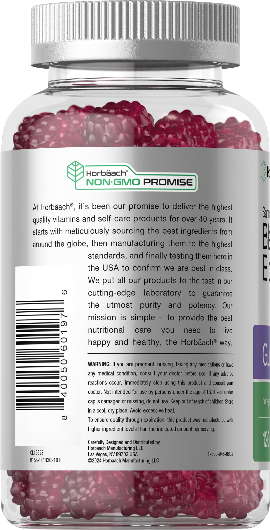 Horbaach Black Elderberry Gummies - 120 Count (Pack of 2) | Zinc & Vitamin C | Vegan, Non-GMO, Gluten Free