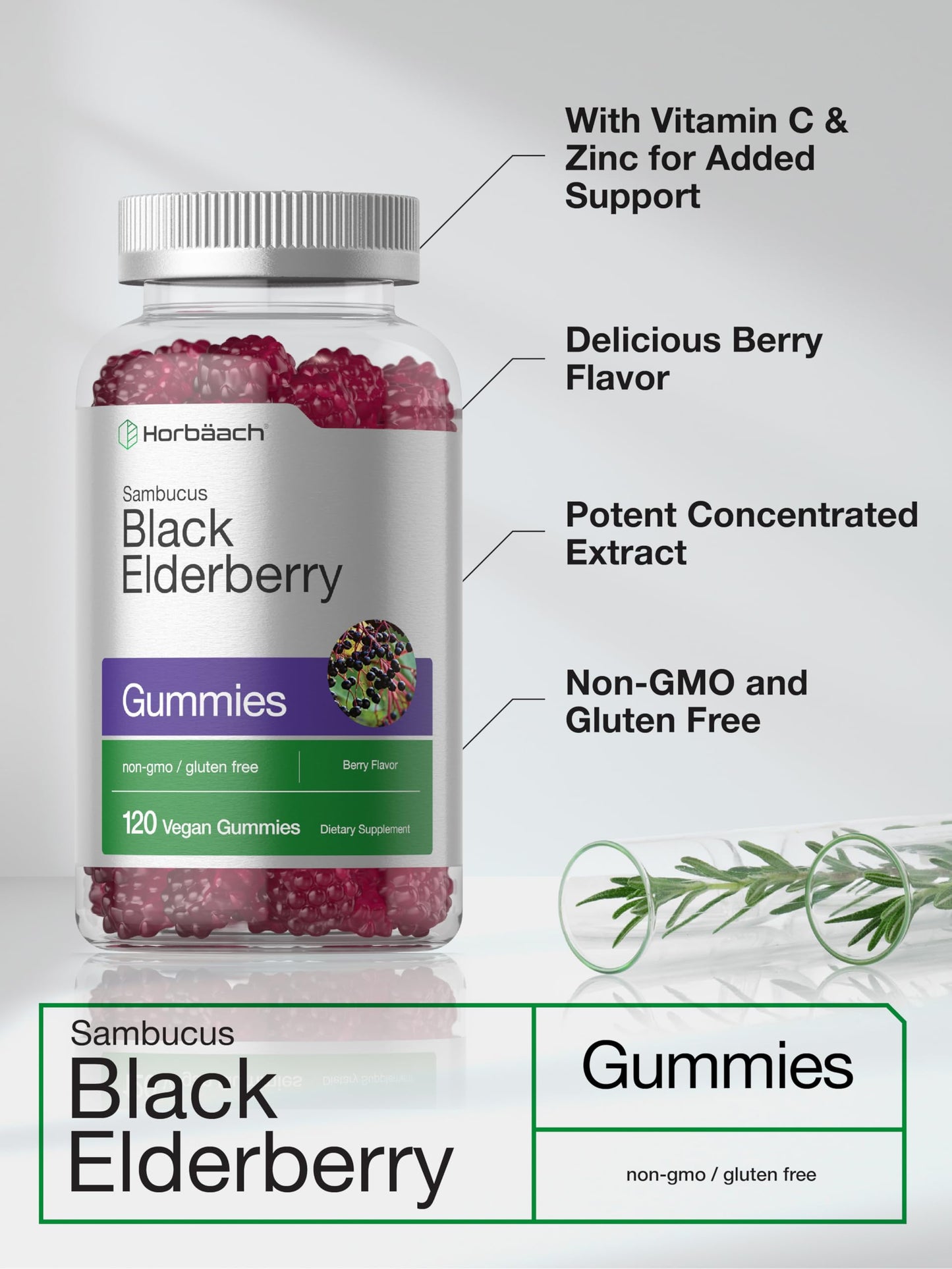 Horbaach Black Elderberry Gummies - 120 Count (Pack of 2) | Zinc & Vitamin C | Vegan, Non-GMO, Gluten Free