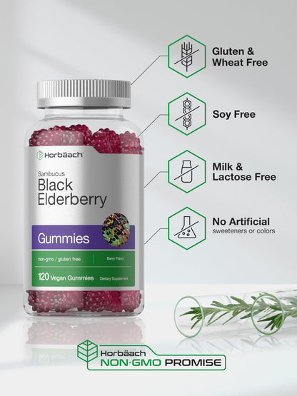 Horbaach Black Elderberry Gummies - 120 Count (Pack of 2) | Zinc & Vitamin C | Vegan, Non-GMO, Gluten Free