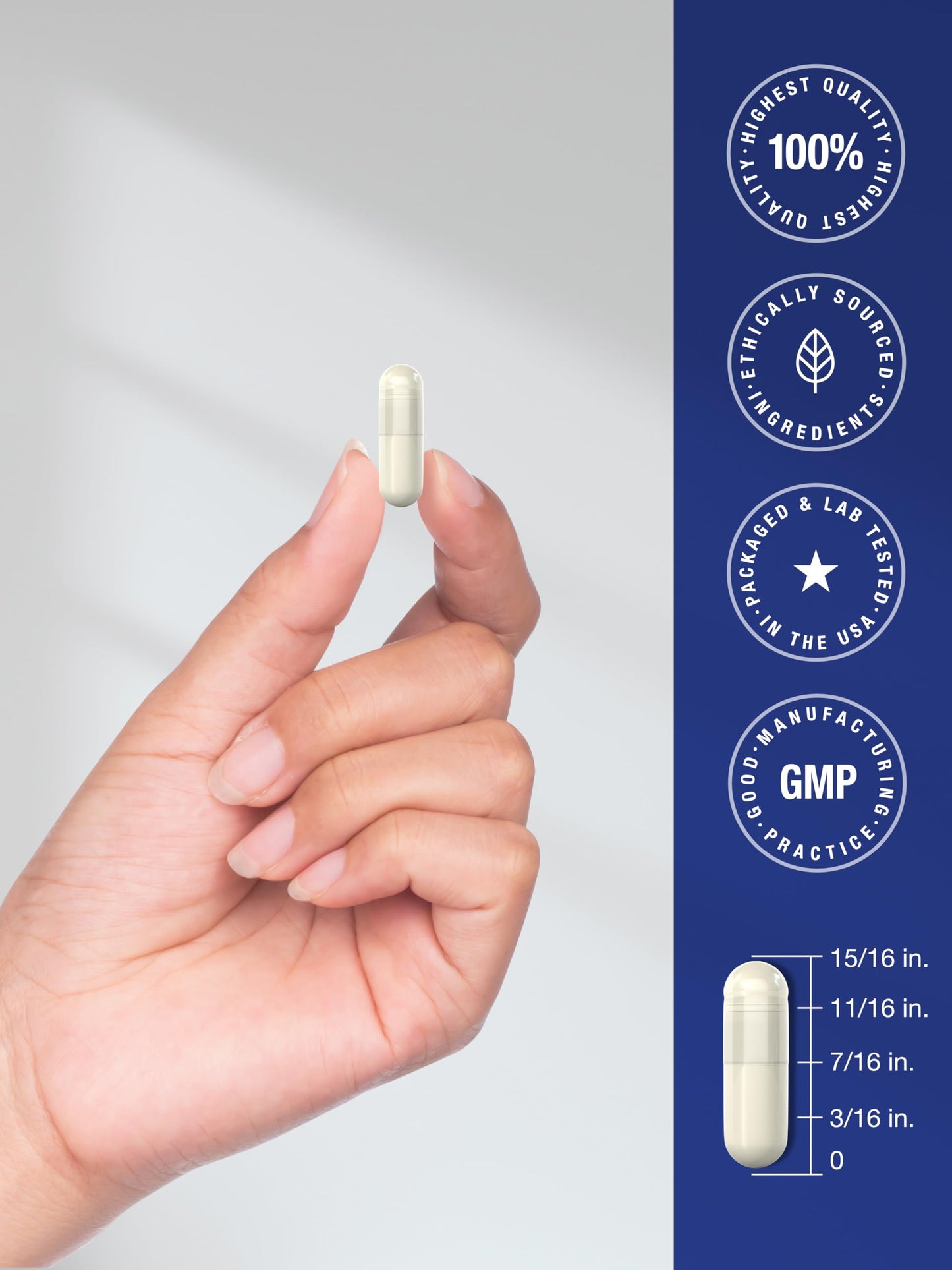 Horbäach Brain Supplement - 120 Capsules | Phosphatidylserine & DMAE