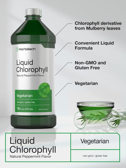 Horbäach Chlorophyll Liquid Drops 100mg – 32 oz Peppermint