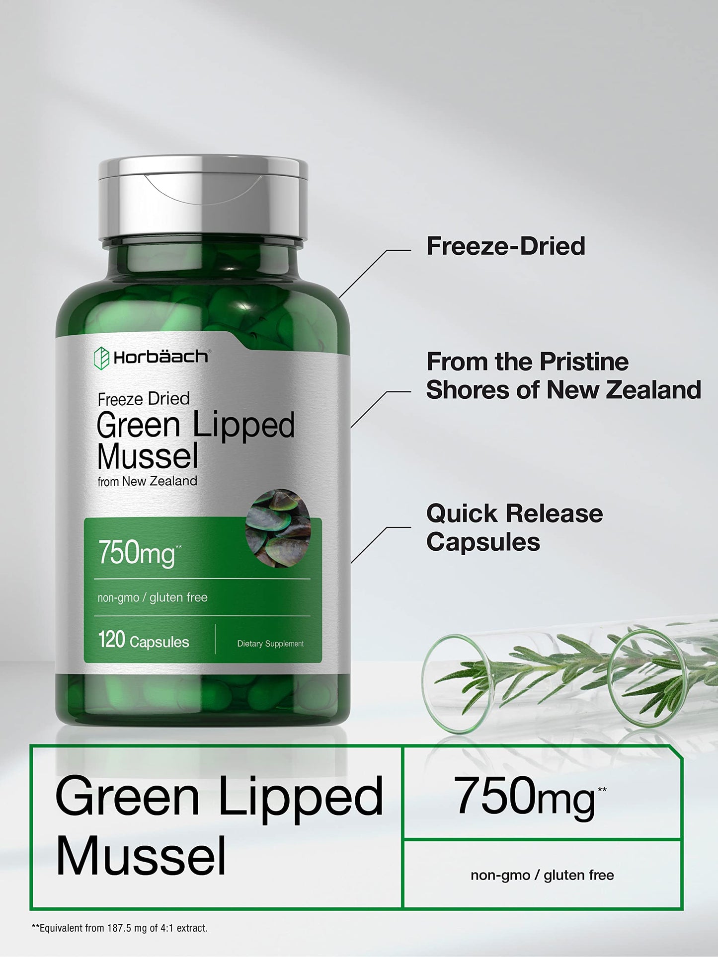 Horbäach Green Lipped Mussel 750 mg - 120 Capsules - New Zealand - Premium Freeze-Dried Mussel Powder - Non-GMO & Gluten Free (Pack of 2)