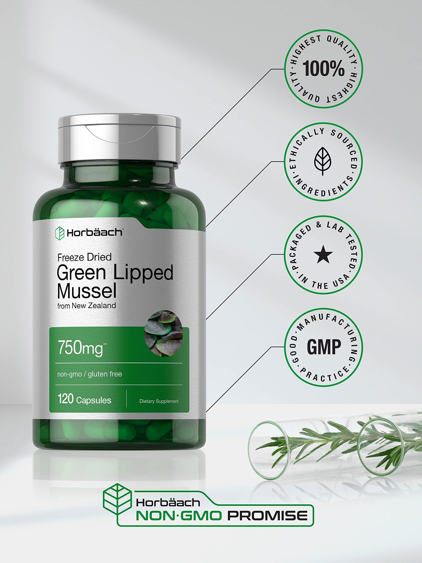 Horbäach Green Lipped Mussel 750 mg - 120 Capsules - New Zealand - Premium Freeze-Dried Mussel Powder - Non-GMO & Gluten Free (Pack of 2)