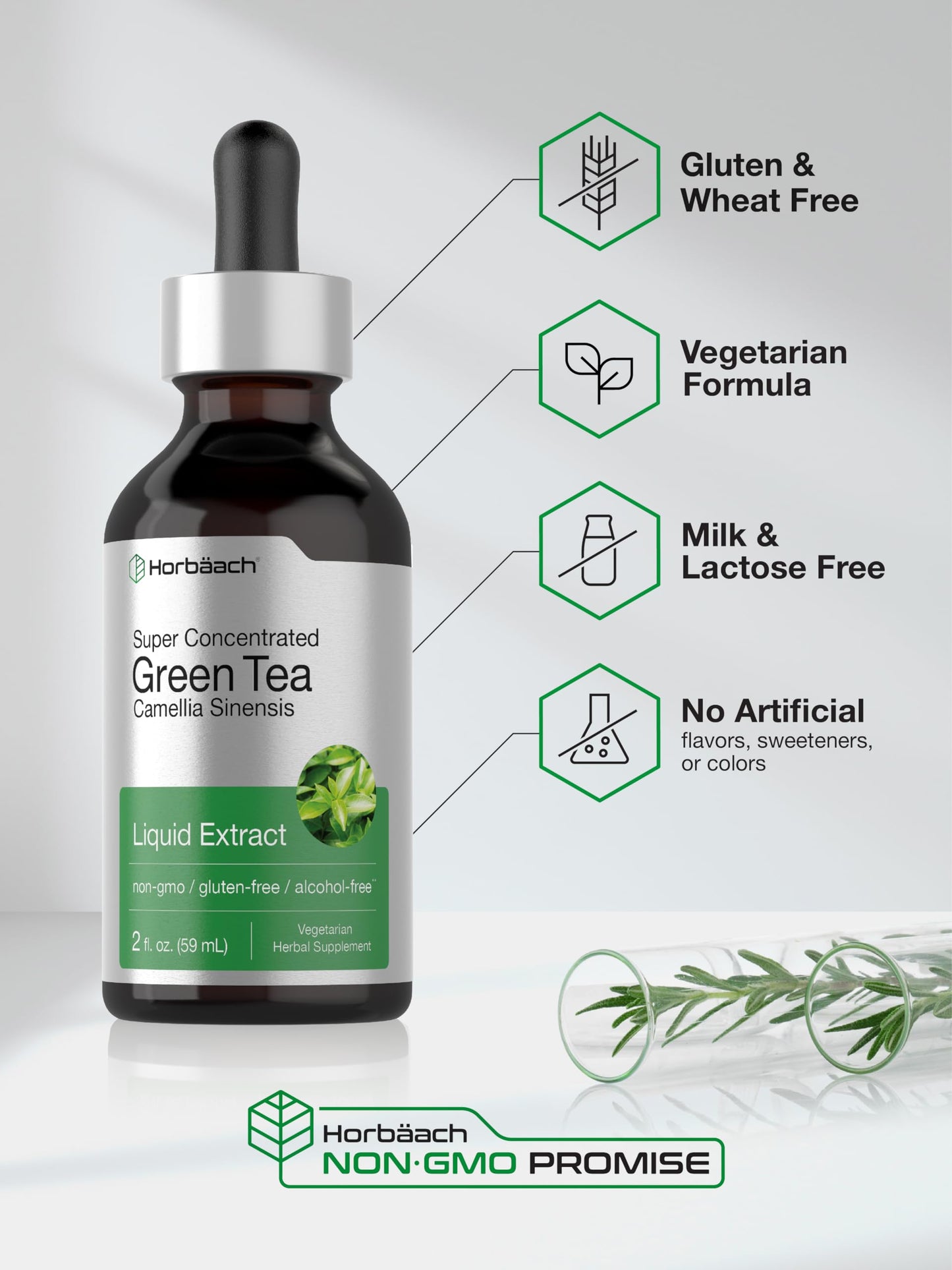 Horbäach Green Tea Extract Liquid Drops | 2 Fl Oz | Alcohol Free | Vegetarian | Super Concentrated Supplement | Non-GMO, Gluten Free