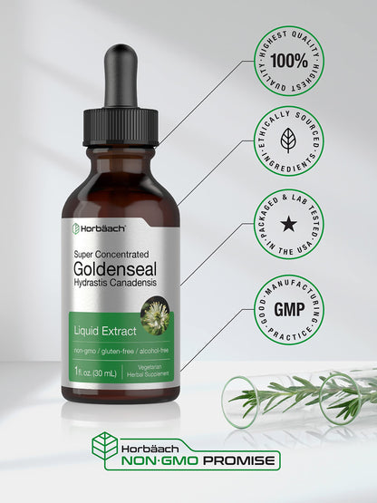 Horbaach Goldenseal Tincture Liquid Extract – 1 fl oz | Alcohol Free