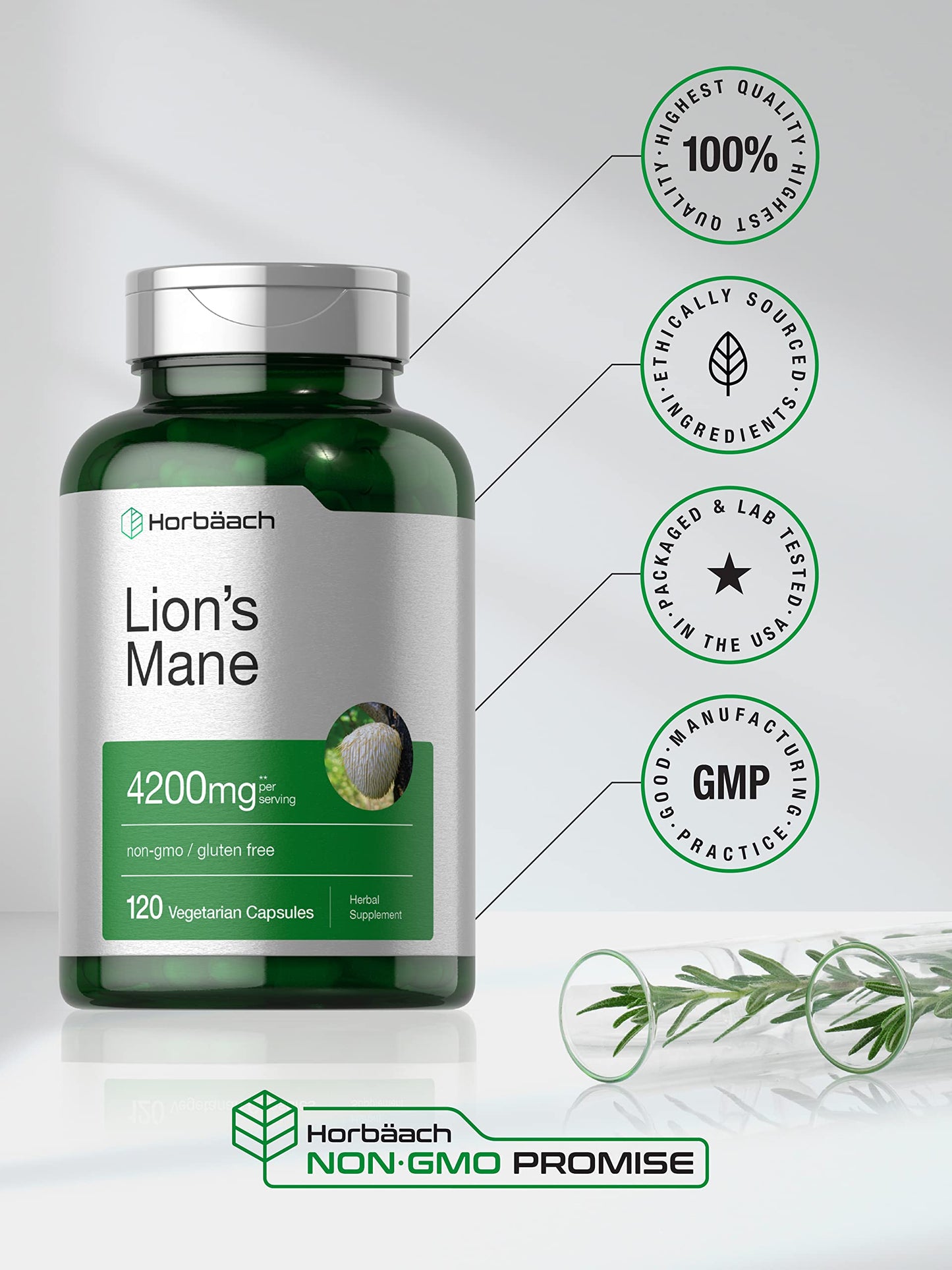 Horbäach Lions Mane Mushroom Extract 4200mg | 120 Veg Capsules | Pack of 2