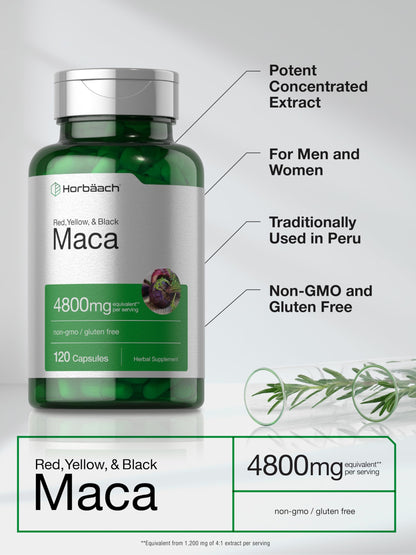 Horbäach Maca Root Capsules for Men and Women | 120 Pills | High Potency Extract | Non-GMO & Gluten Free