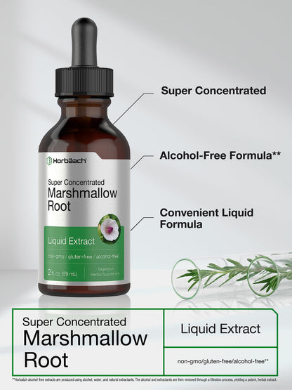 Horbäach Marshmallow Root Extract Tincture 2 fl oz – Alcohol Free