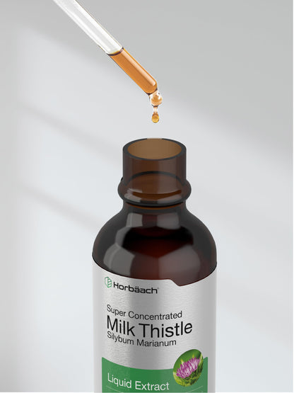 Horbäach Milk Thistle Extract Liquid – 2 fl oz, Alcohol Free, Vegetarian, Non-GMO & Gluten Free