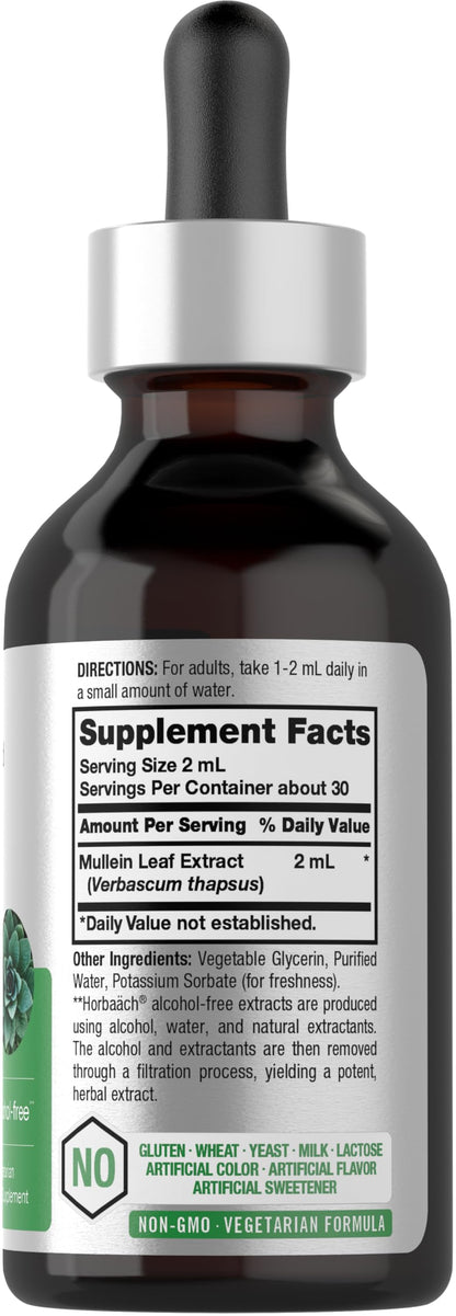 Horbäach Mullein Leaf Extract Drops – Alcohol Free, 2 fl oz | Vegetarian, Non-GMO & Gluten Free
