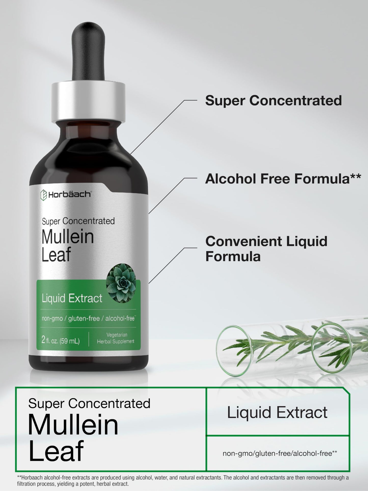 Horbäach Mullein Leaf Extract Drops – Alcohol Free, 2 fl oz | Vegetarian, Non-GMO & Gluten Free