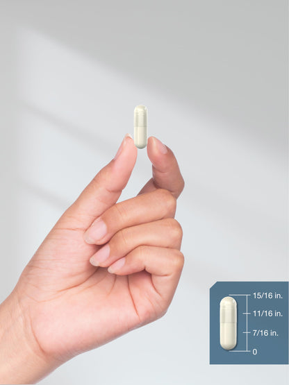 Horbaach N-Acetyl Glucosamine 1000 mg - 120 Capsules | NAG Supplement - Non-GMO & Gluten Free