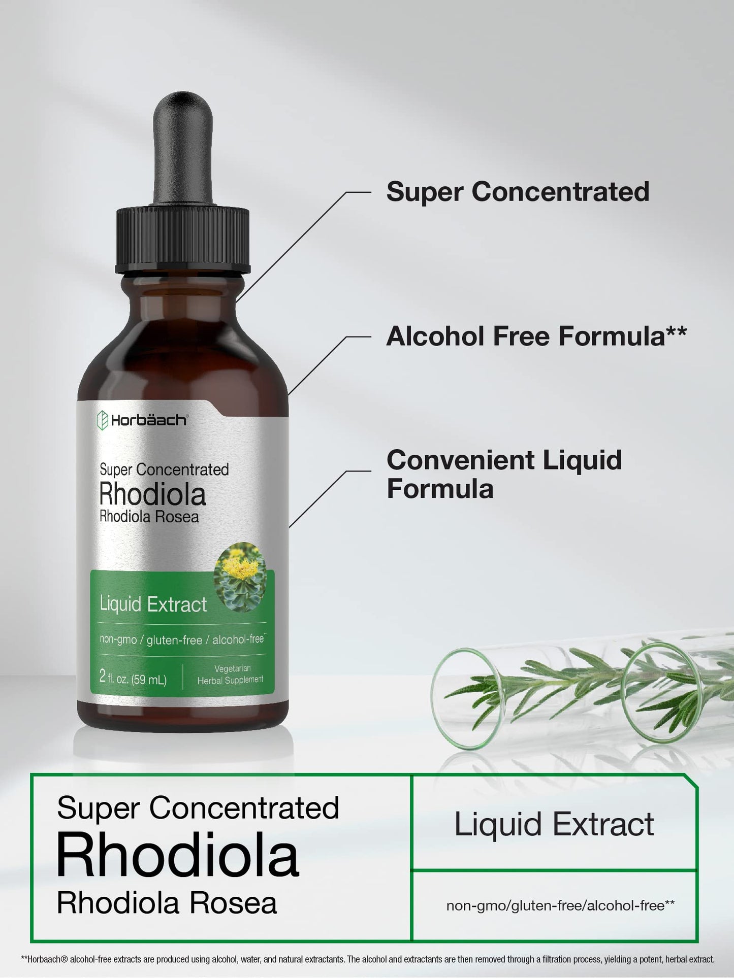 Horbaach Rhodiola Rosea Supplement Tincture - 2 fl oz | Alcohol-Free Extract | Vegetarian, Non-GMO, Gluten Free