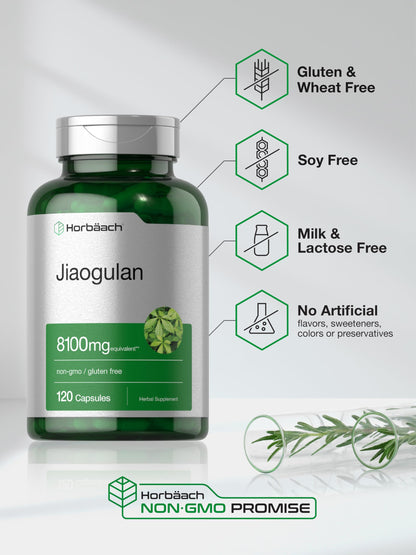 Horbäach Jiaogulan Capsules | 8100 mg per Serving | 120 Count | Gynostemma Pentaphyllum | Non-GMO, Gluten Free