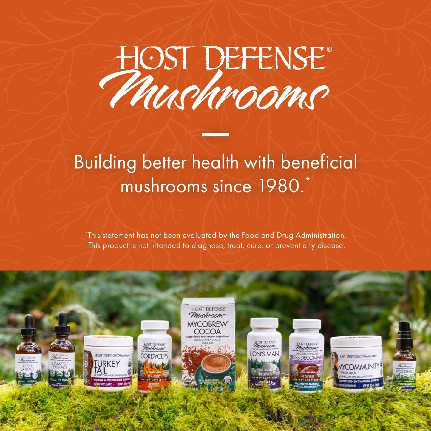 Host Defense Breathe Capsules – Immune & Respiratory Support (Pack of 2) | Chaga, Reishi & Cordyceps