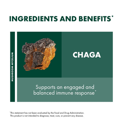 Host Defense Chaga Capsules | Immune Support & Antioxidant Mushroom Supplement - 120 Capsules