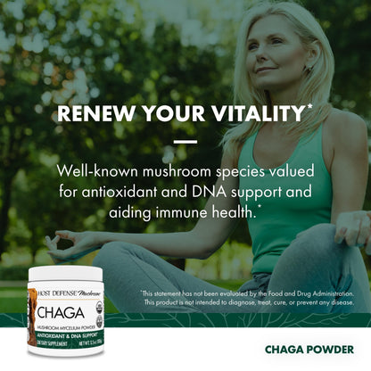 Host Defense Chaga Powder – Immune Support & Antioxidant Mushroom Supplement | 3.5 oz (66 Servings)