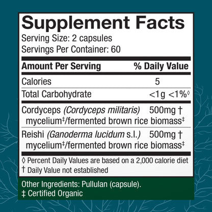 Host Defense CordyChi Capsules – Cordyceps & Reishi for Energy & Immune Support | 120 Capsules