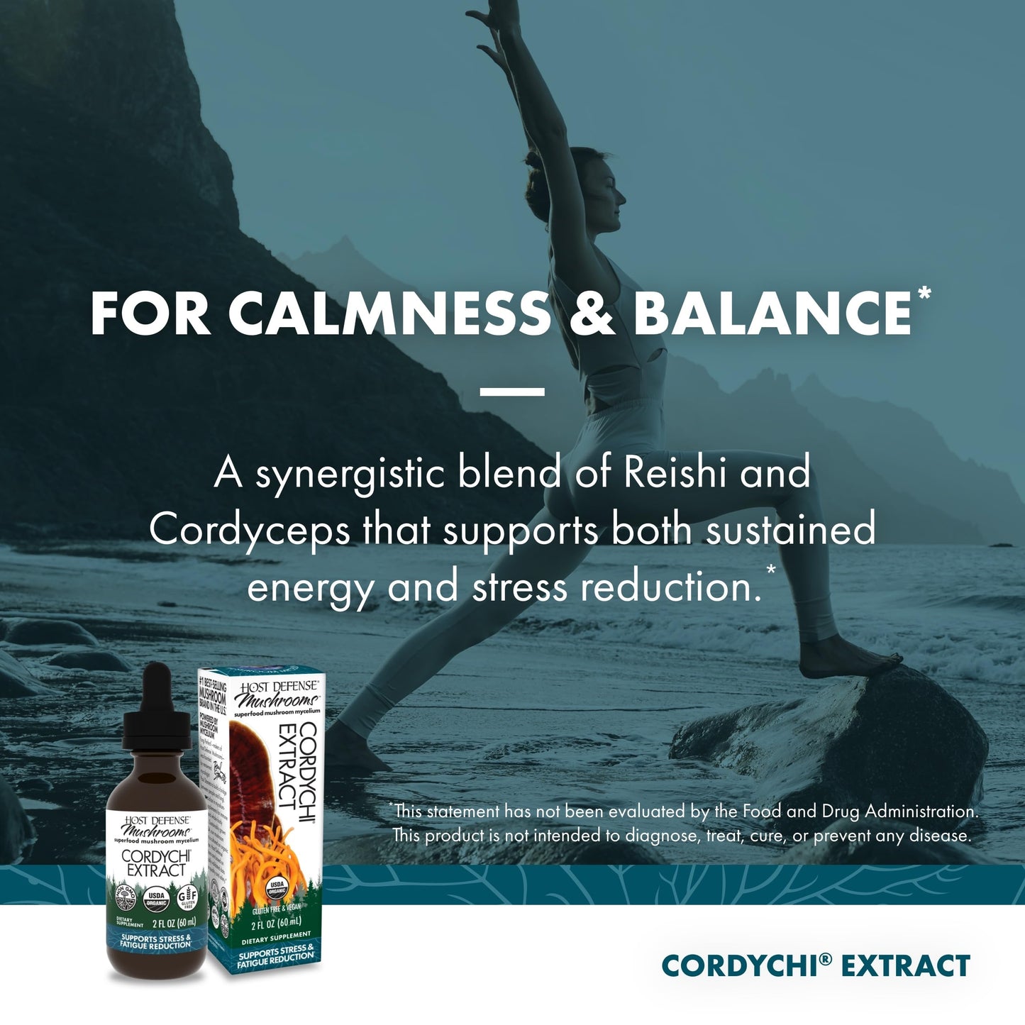 Host Defense CordyChi Extract - Cordyceps & Reishi Mushroom Supplement for Energy & Immune Support | 2 fl oz