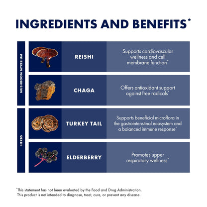 Host Defense Elderberry Plus Syrup - Immune & Respiratory Support Mushroom Supplement with Turkey Tail, Reishi, Agarikon & Chaga | 4 fl oz (12 Servings) Pack of 2