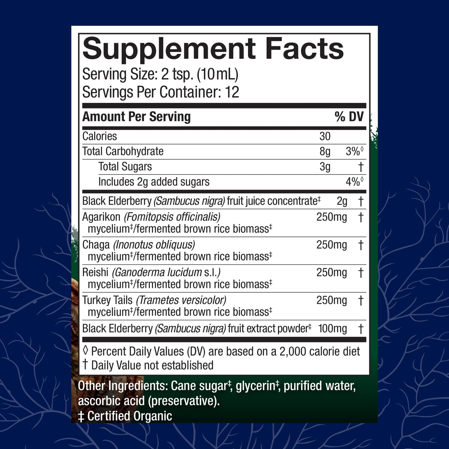 Host Defense Elderberry Plus Syrup - Immune & Lung Support (4 oz)