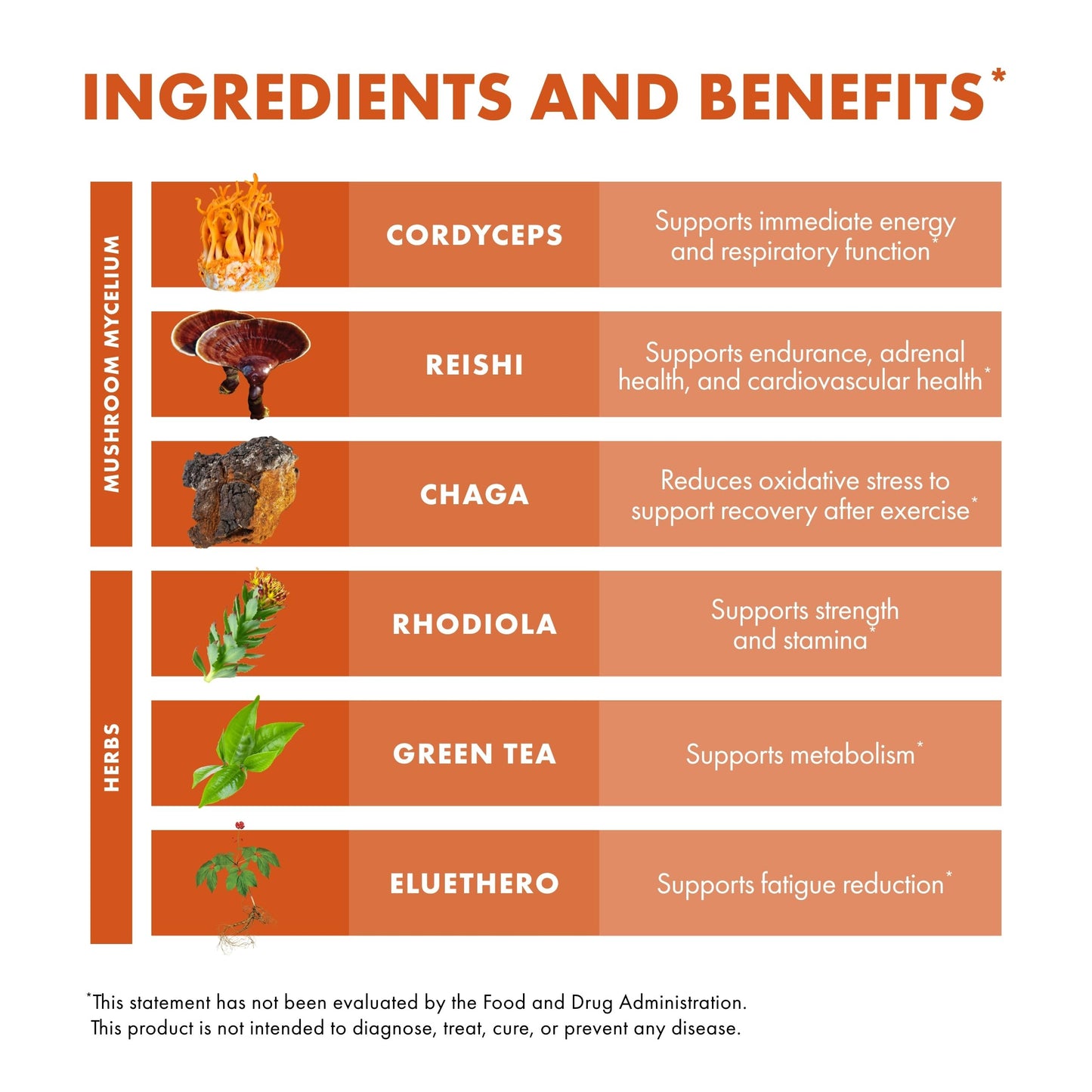 Host Defense MycoBotanicals Energy Capsules – Energy & Respiratory Support (Cordyceps, Reishi & Chaga) – 60 Capsules
