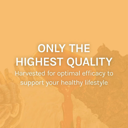 Host Defense Mesima Capsules | Immune Support & Antioxidant Mushroom Supplement - 60 Capsules
