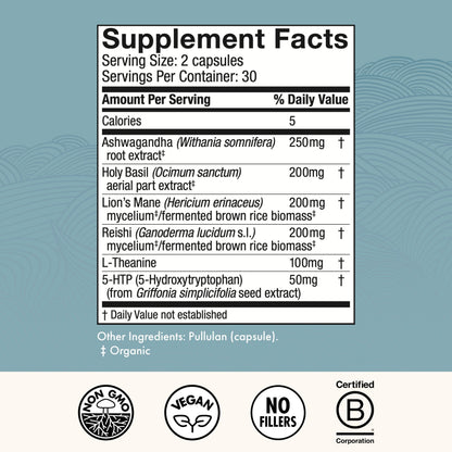 Host Defense MycoBenefits Mood* Capsules – Healthy Mind Support | Lion's Mane, L-Theanine & Ashwagandha | 60 Caps