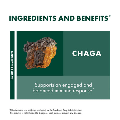 Host Defense Chaga Extract - Immune Support Supplement | 2 fl oz