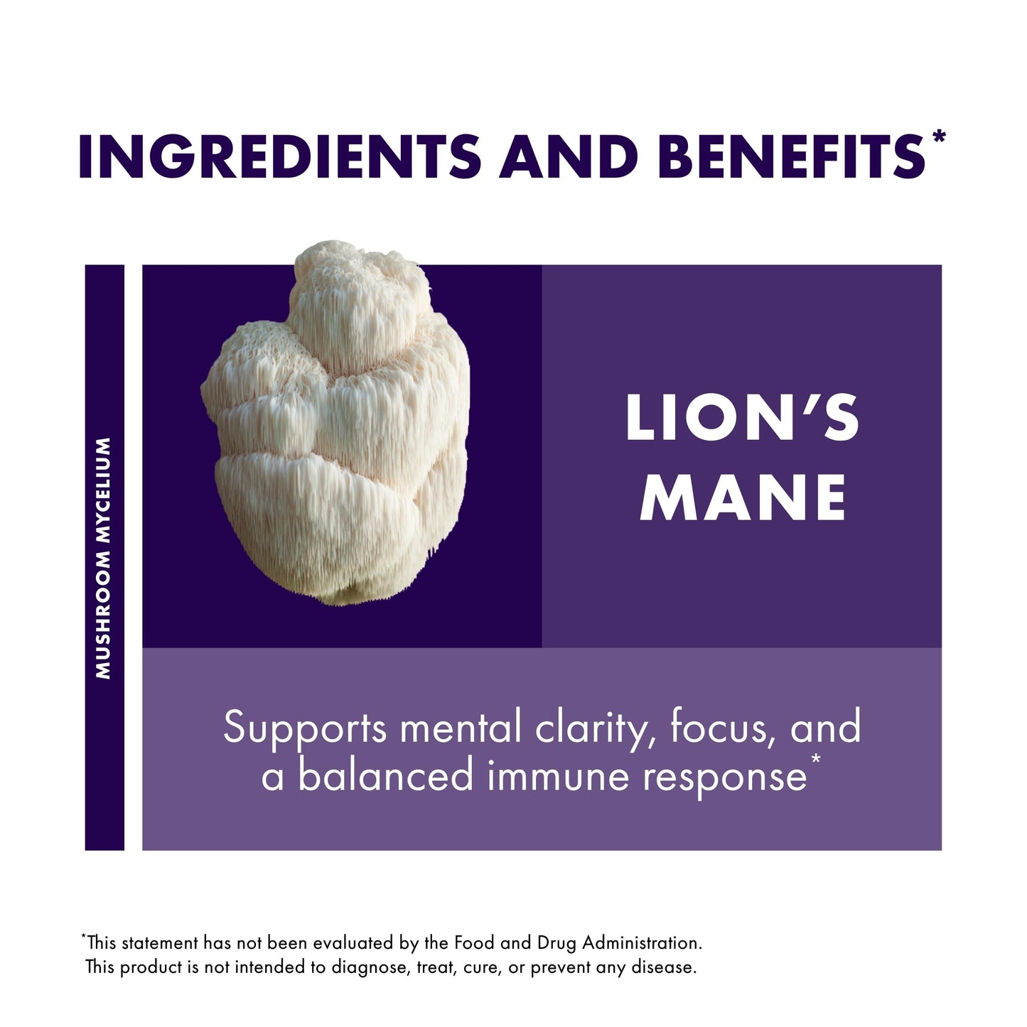 Host Defense Lion's Mane Powder - Brain Health & Focus (66 Servings)