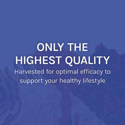 Host Defense Stamets 7-7 Species Mushroom Blend – Immune Support Supplement – 120 Capsules