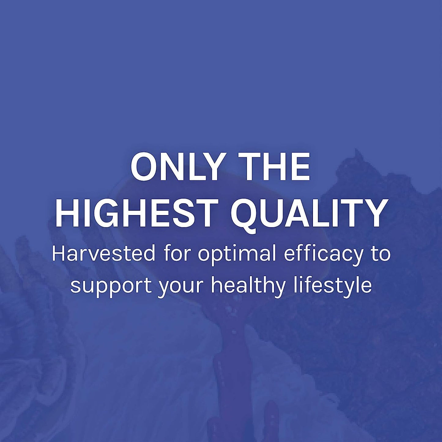 Host Defense Stamets 7-7 Species Blend – Immune Support Mushroom Supplement – 60 Capsules