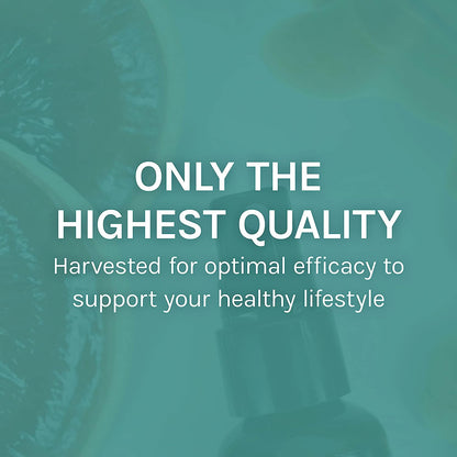 Host Defense MycoShield Throat Spray – Immune Support Mushroom Formula (Chaga, Reishi, Turkey Tail, Licorice Root) 1 oz
