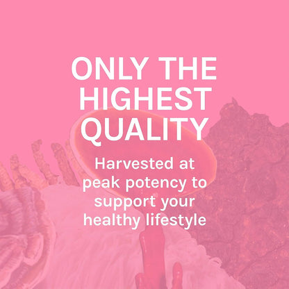 Host Defense Turkey Tail Capsules – Digestive Health & Immune Support
