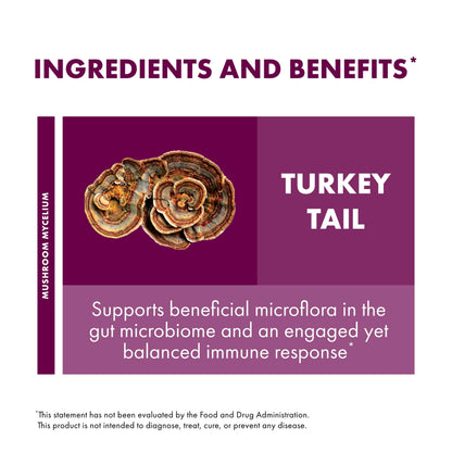 Host Defense Turkey Tail Extract – Digestive Health & Immune Support (2 oz)