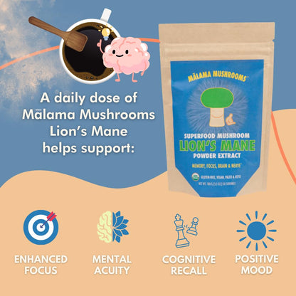Lion's Mane Extract Powder by Malama - Organic Fruiting Body Mushroom, Focus & Memory