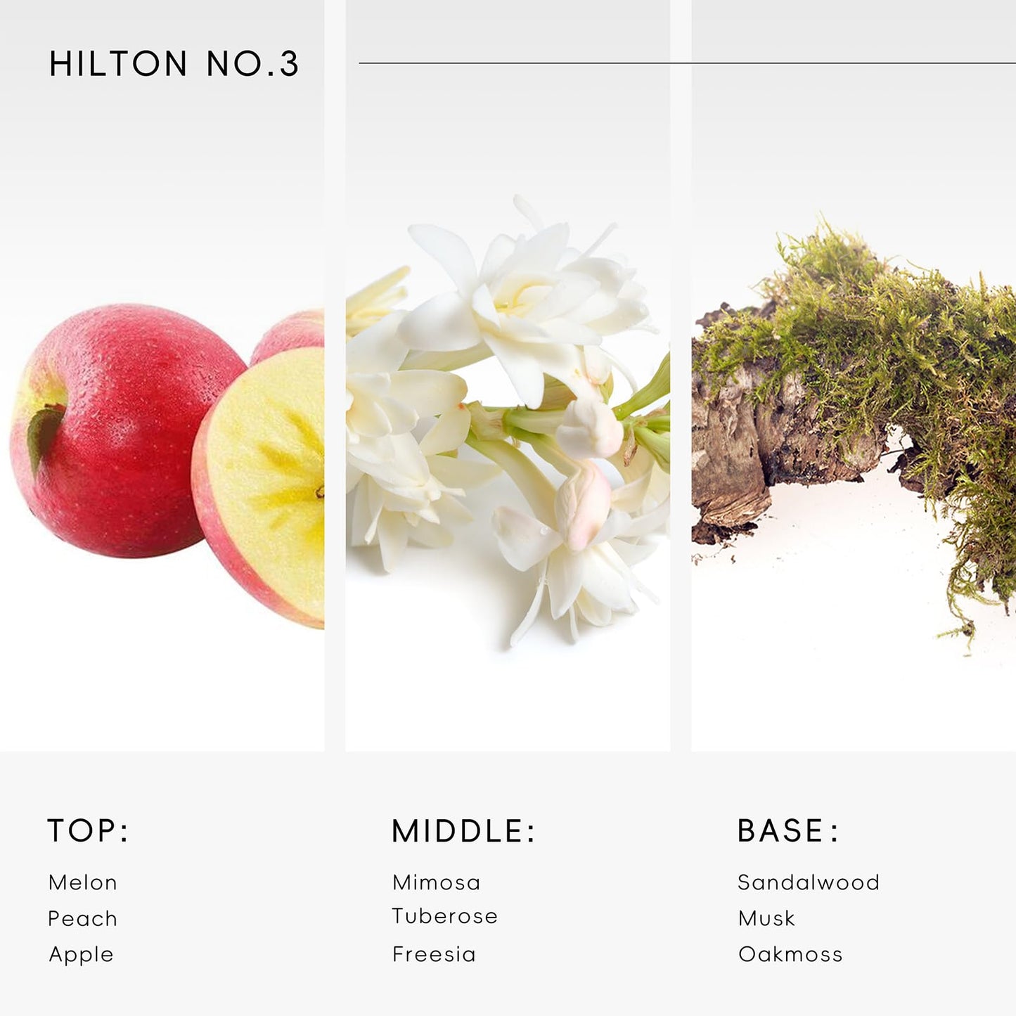 Hotel Diffuser Oil Inspired by Hilton No.3 Scent – Premium Fragrance Oil 250 mL