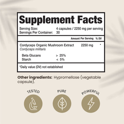 HPD Rx Cordyceps – Premium Organic Mushroom Extract, 2250 mg, 240 Capsules (Pack of 2)