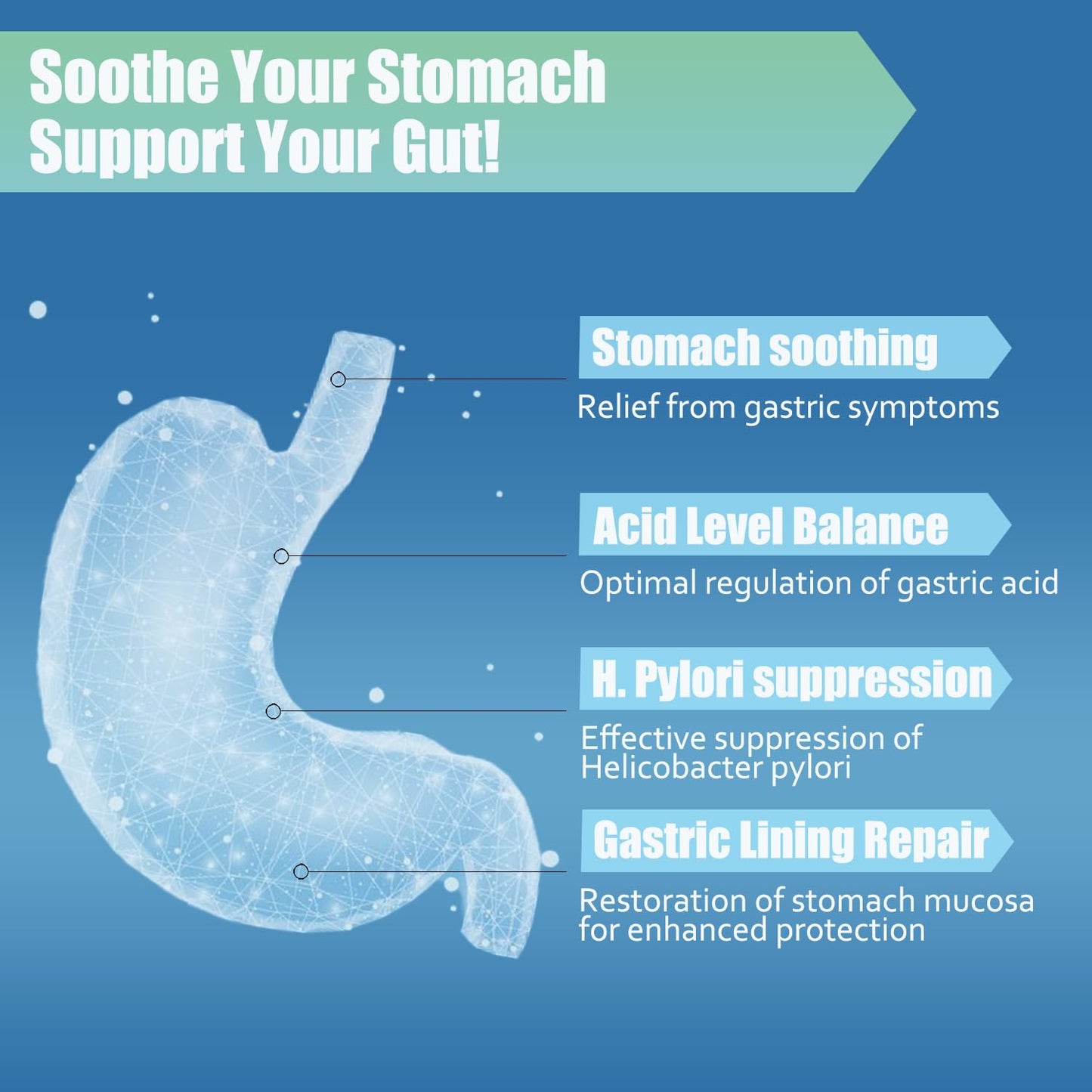 H. Pylori Support Probiotic 100 Billion CFU | Vegan Capsules 120 Count