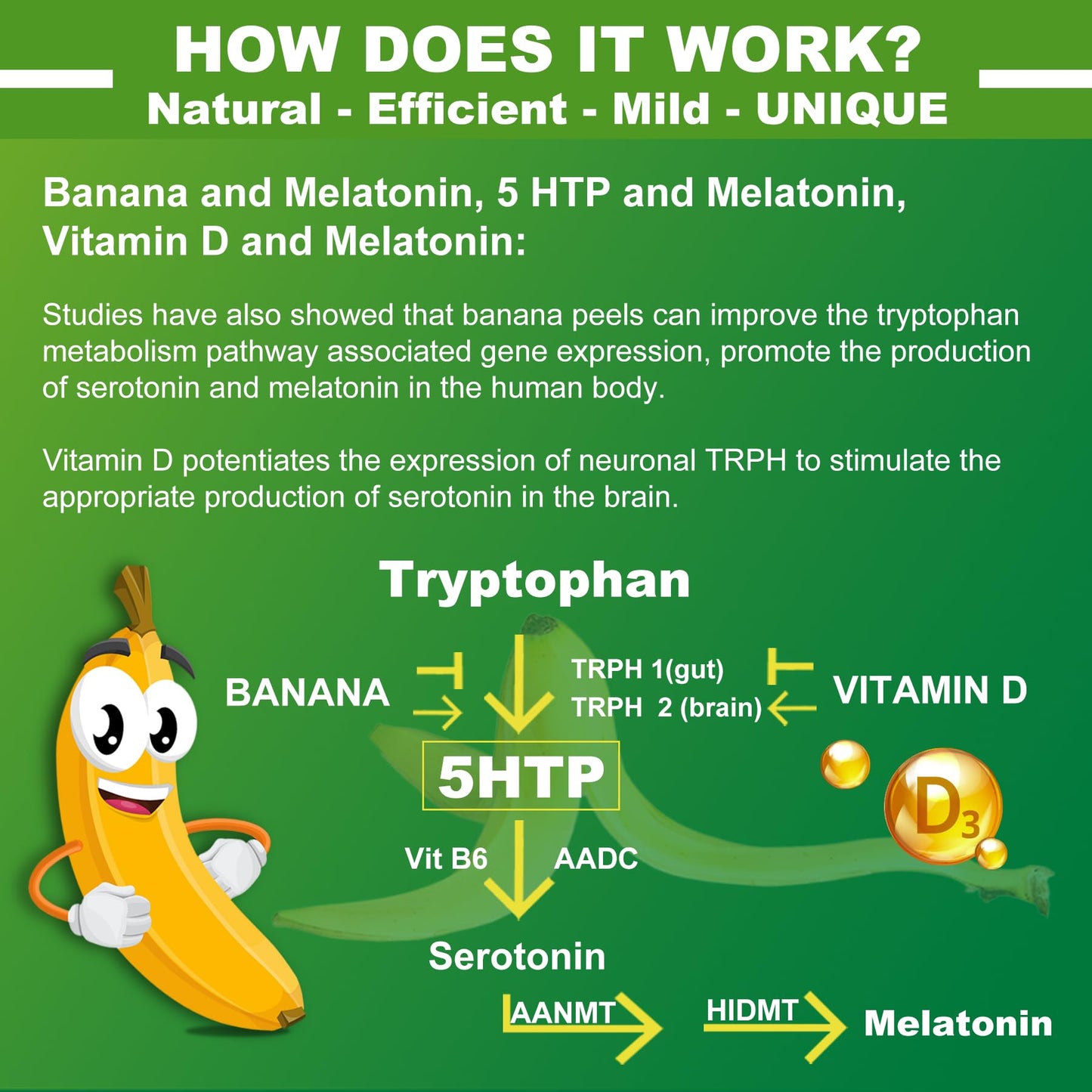 5-HTP GABA Gummies + L-Theanine & Vitamin D3 — Melatonin-Free Relaxation (Pack of 2)